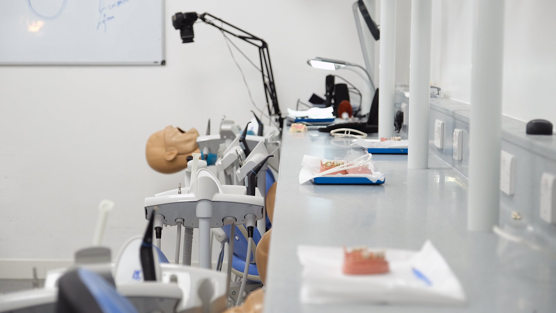 simulation-lab_phantom-head